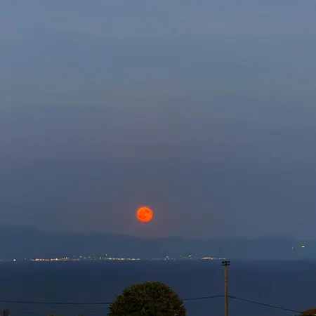 Delight House's Afytos